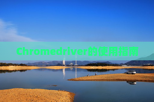 Chromedriver的使用指南 Chromedriver的使用指南